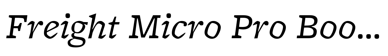 Freight Micro Pro Book Italic